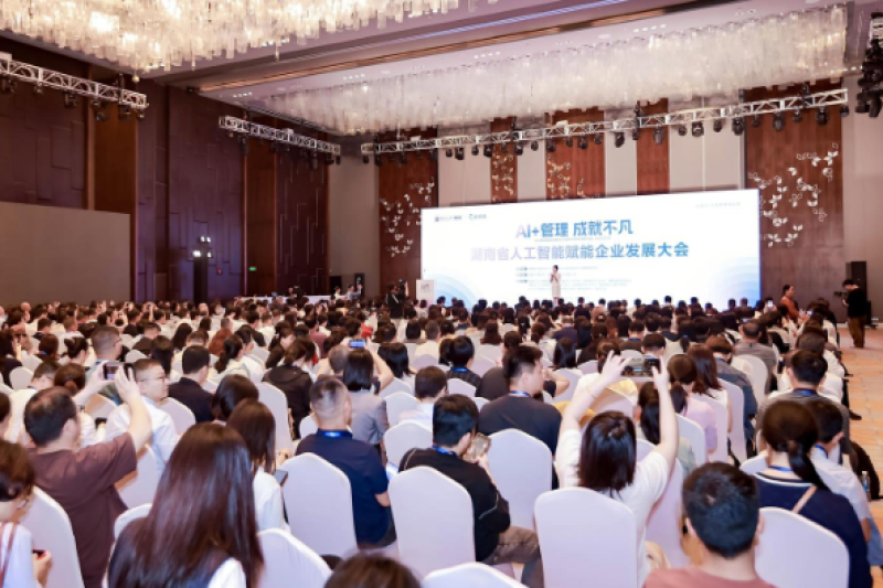 湖南省人工智能赋能企业发展大会在长沙举行