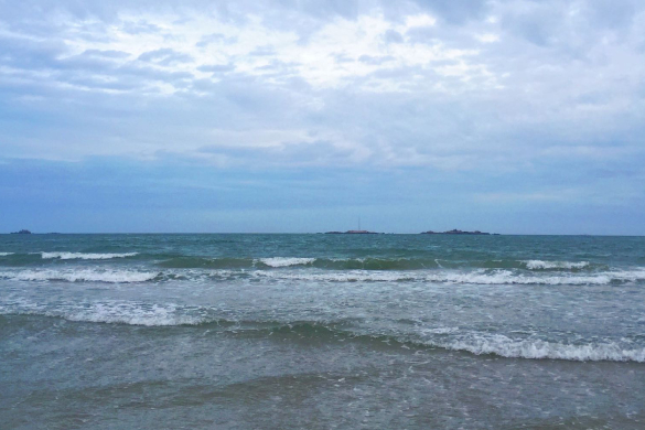 聊城市委书记调研行业发展