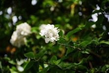 天津局召开2026年全市邮政工作会议