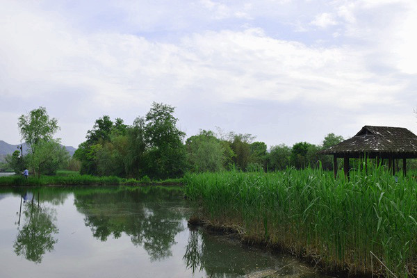 广东人工智能赋能交通运输高质量发展政策措施出台 行业发展添动力