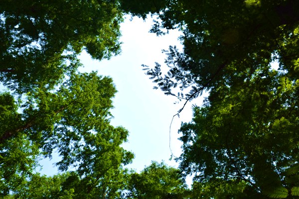 吉林局赴辽源、四平调研“快递 ”服务