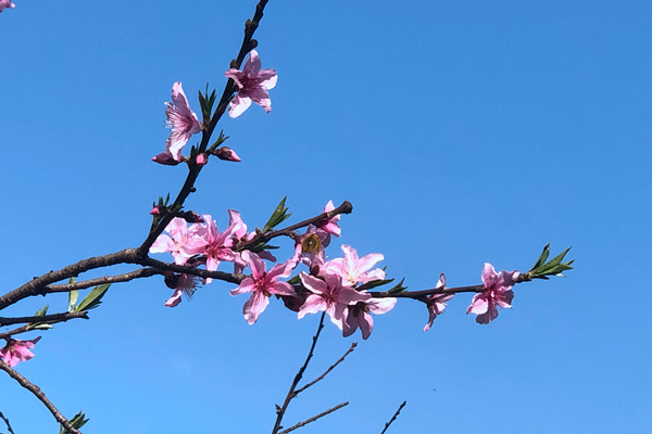 天津市邮政管理局召开2026年第二季度邮政政企联席会