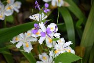 红豆荣膺“中国消费名品”称号，国潮品牌再“出圈”