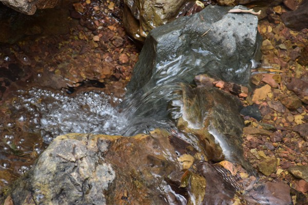 中国棉纺织行业协会会长董奎勇一行来魏桥创业集团调研