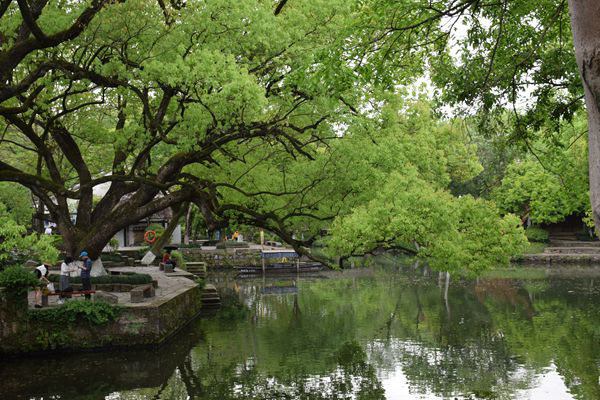 天纺标微课堂 | FZ/T 73083-2025《护理用针织内裤》新标准解读